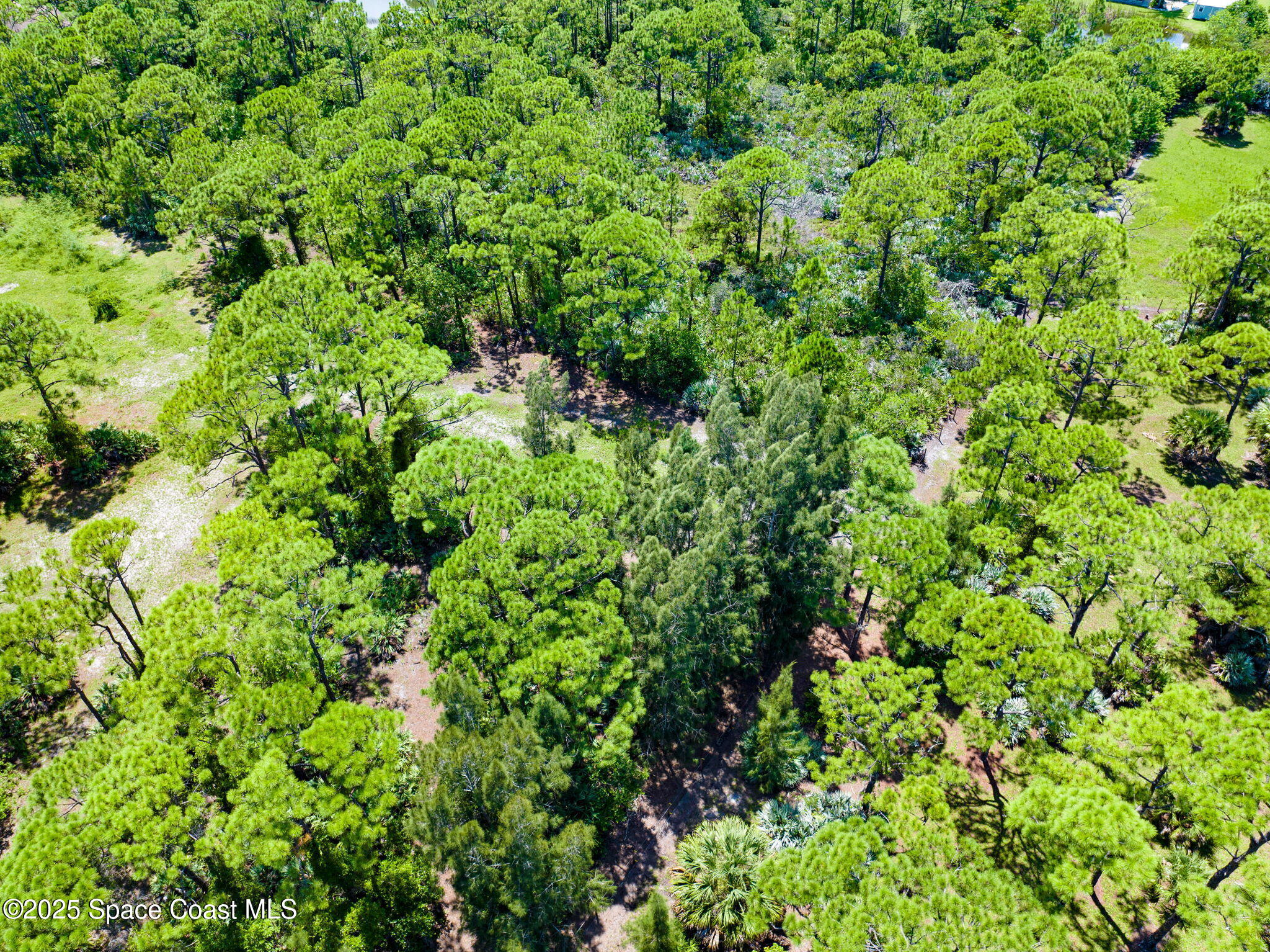 4495 Sand Point Road Grant, FL 32949 - Photo 85 of 87 DJI_26688