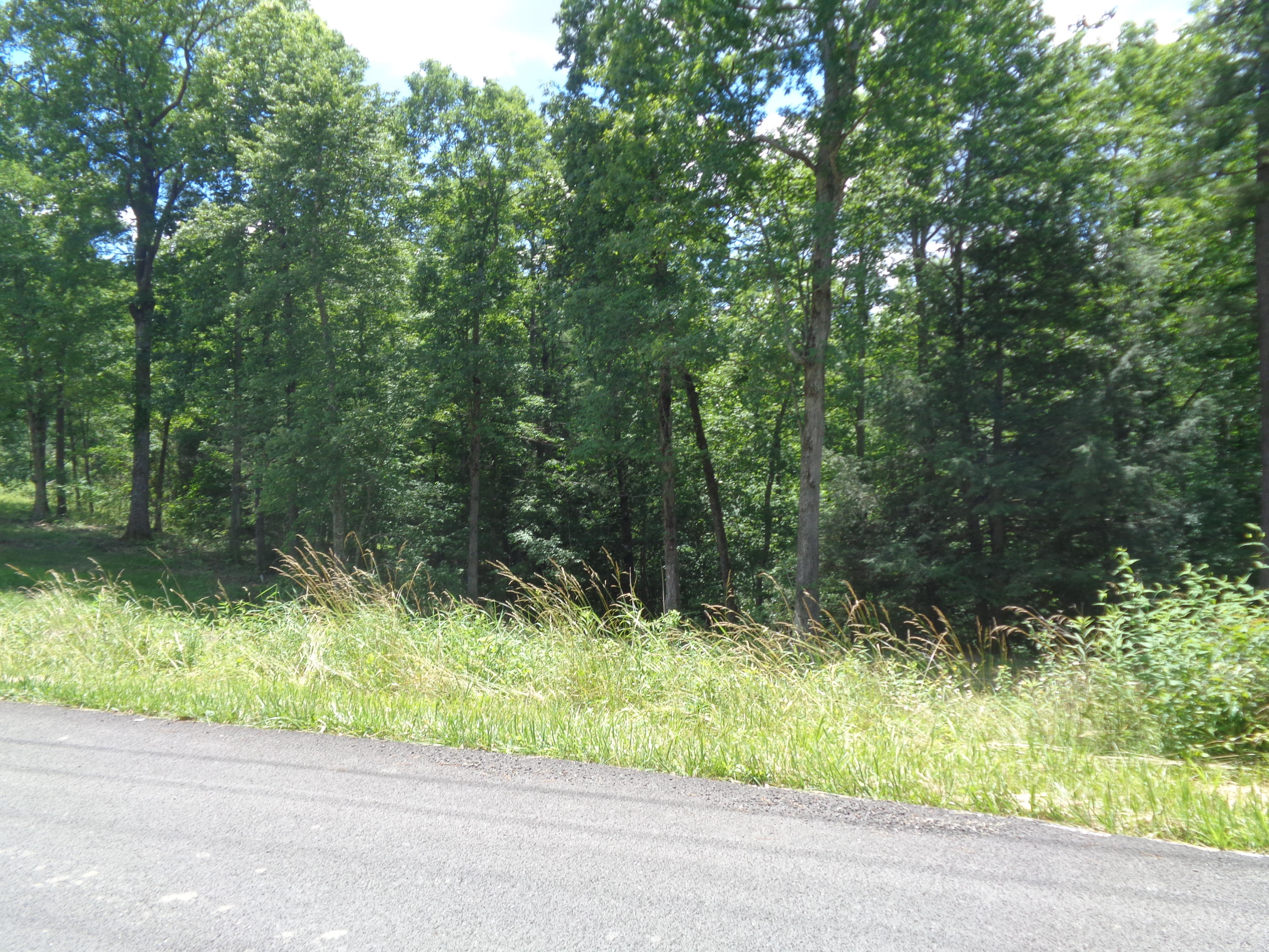 Lot 4 Fount Hubbard Road London, KY 40741 - Photo 24 of 32 DSC04866