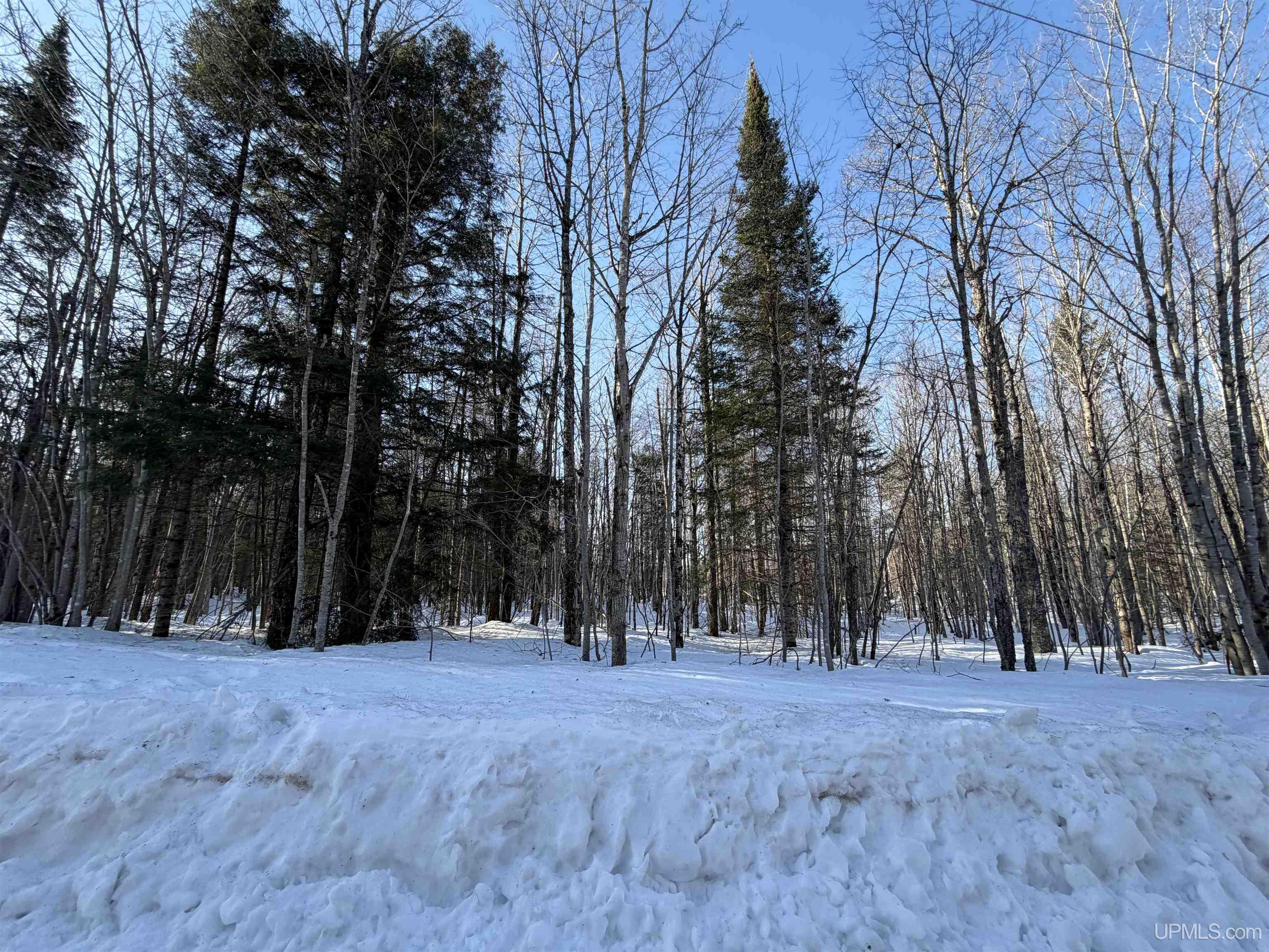 56-acres Halverson Road Skandia, MI 49885 - Photo 5 of 16