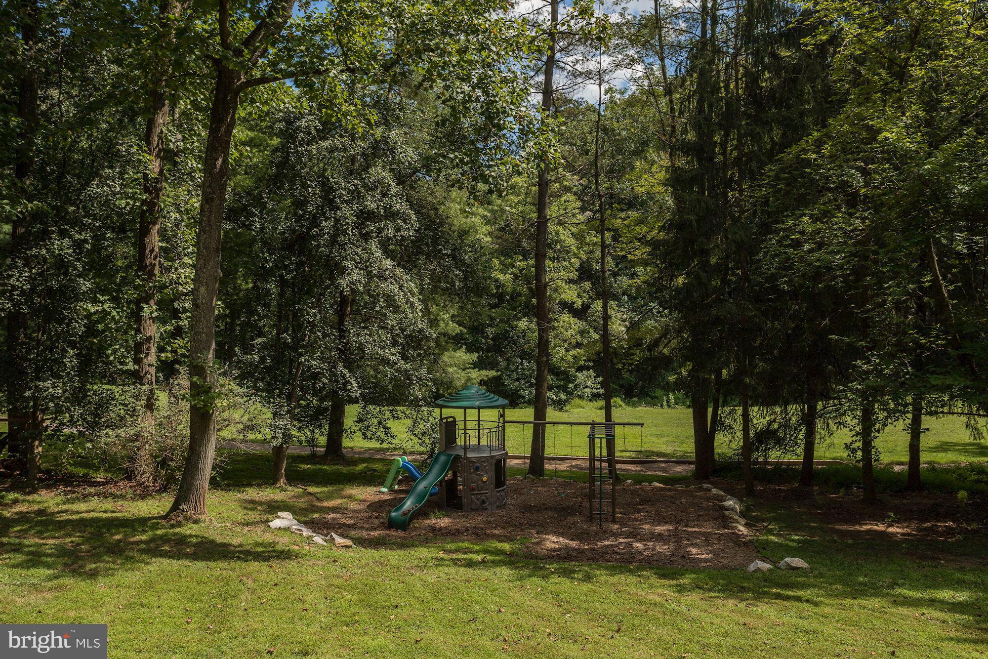 2113 Highland Ridge Drive Phoenix, MD 21131 - Photo 41 of 46 Rear Yard - Playset