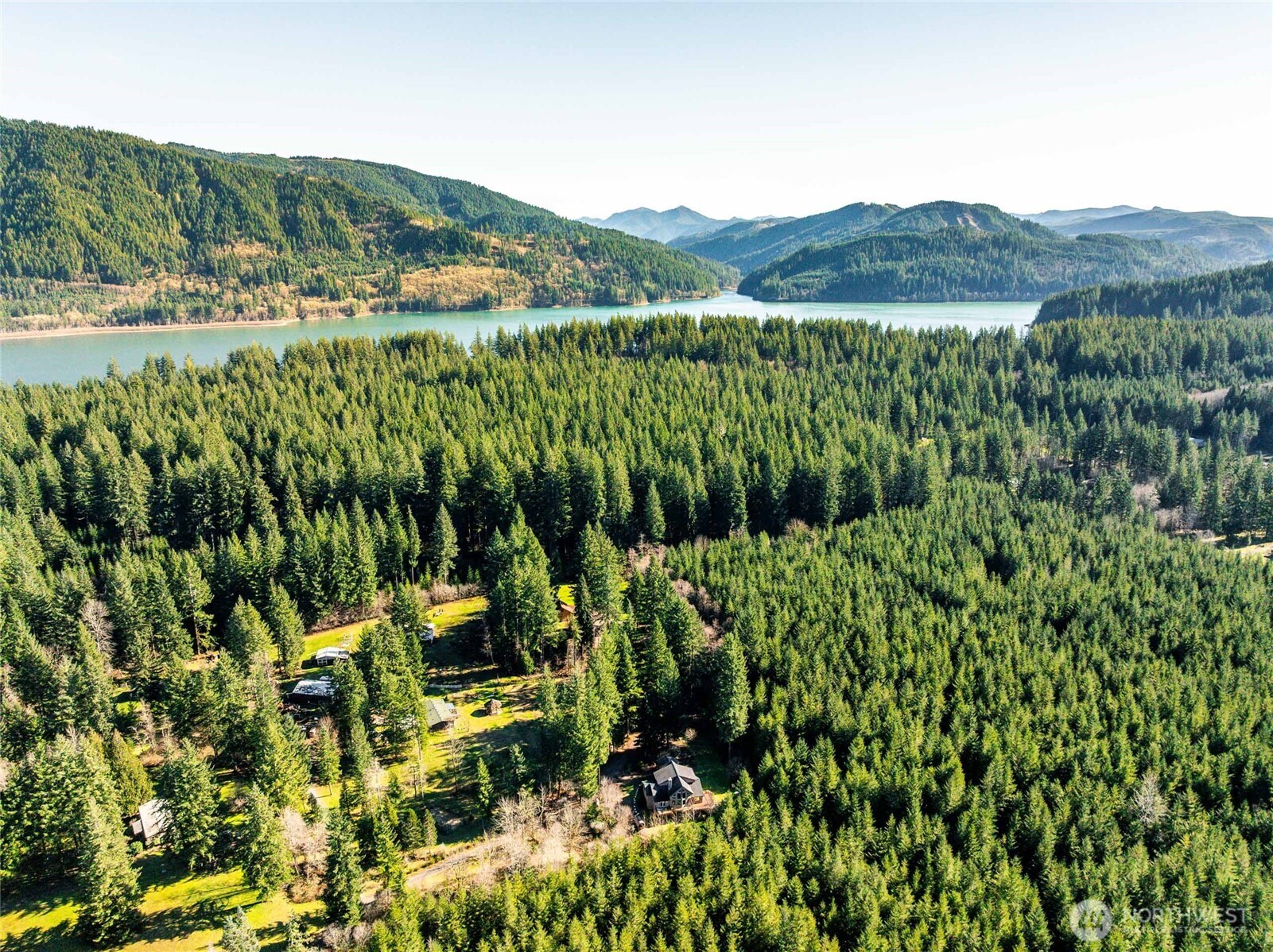 340 Arrowhead Road Ariel, WA 98603 - Photo 39 of 40 a view of a lush green field with plants and large trees