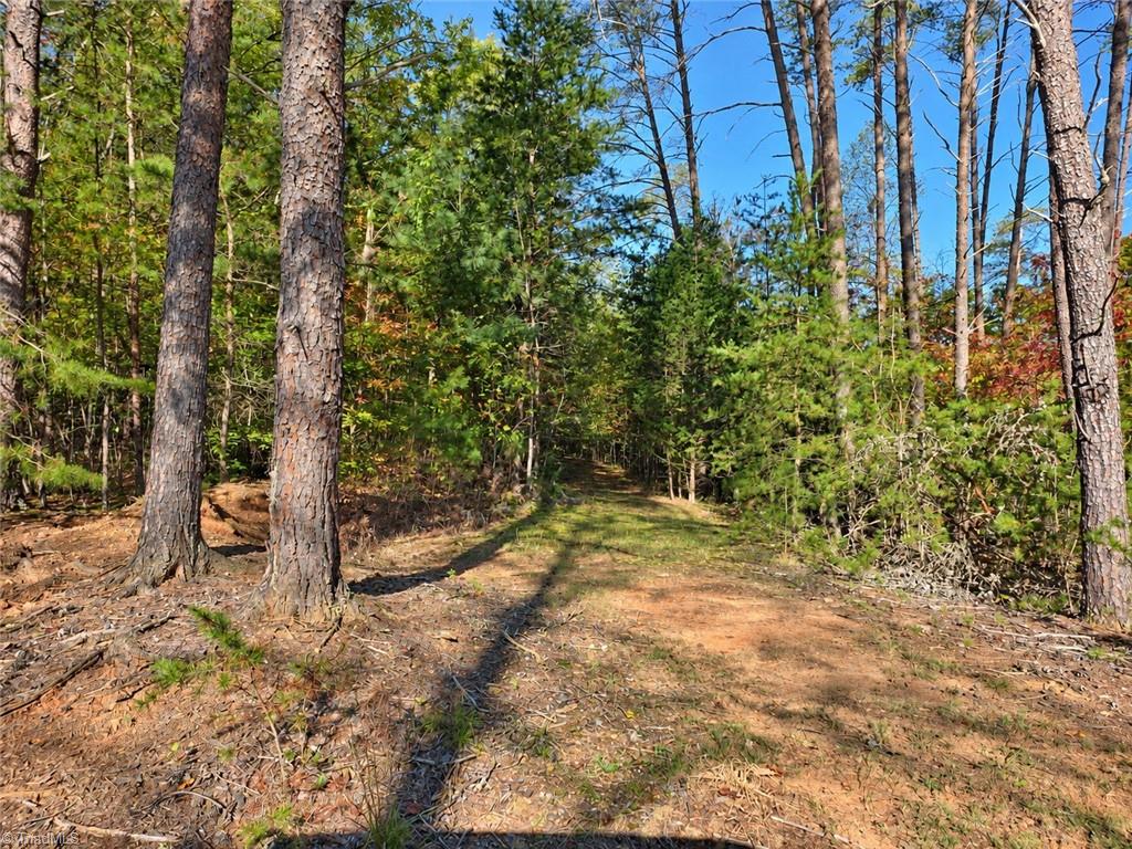 1198 Jackson Road, Unit 17 Westfield, NC 27053 - Photo 42 of 50 Gallery Image 42