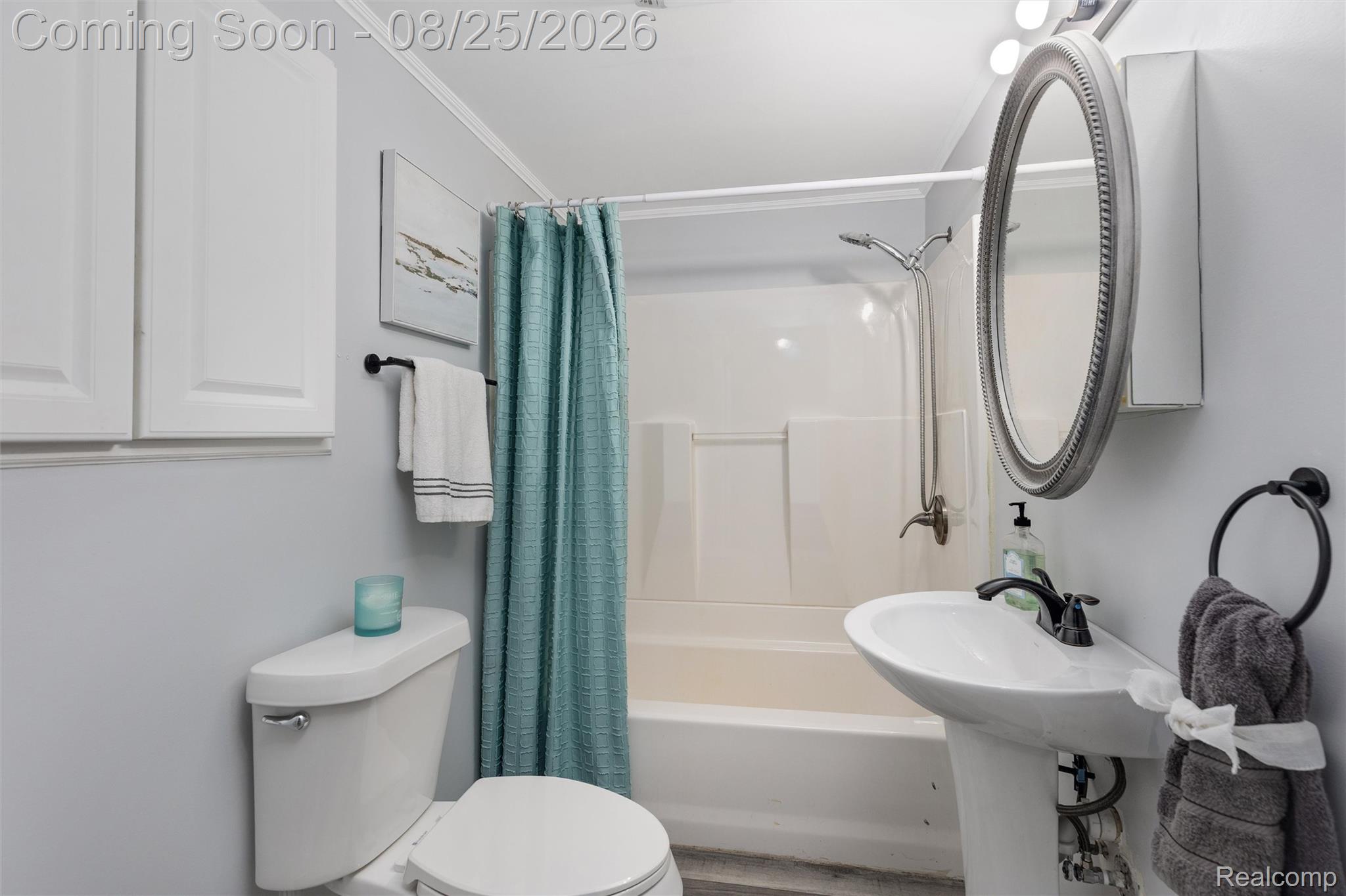 1156 Rinn Street Burton, MI 48509 - Photo 20 of 25 Pedestal sink with black-finish faucet, framed oval mirror, and wall-mounted storage cabinet