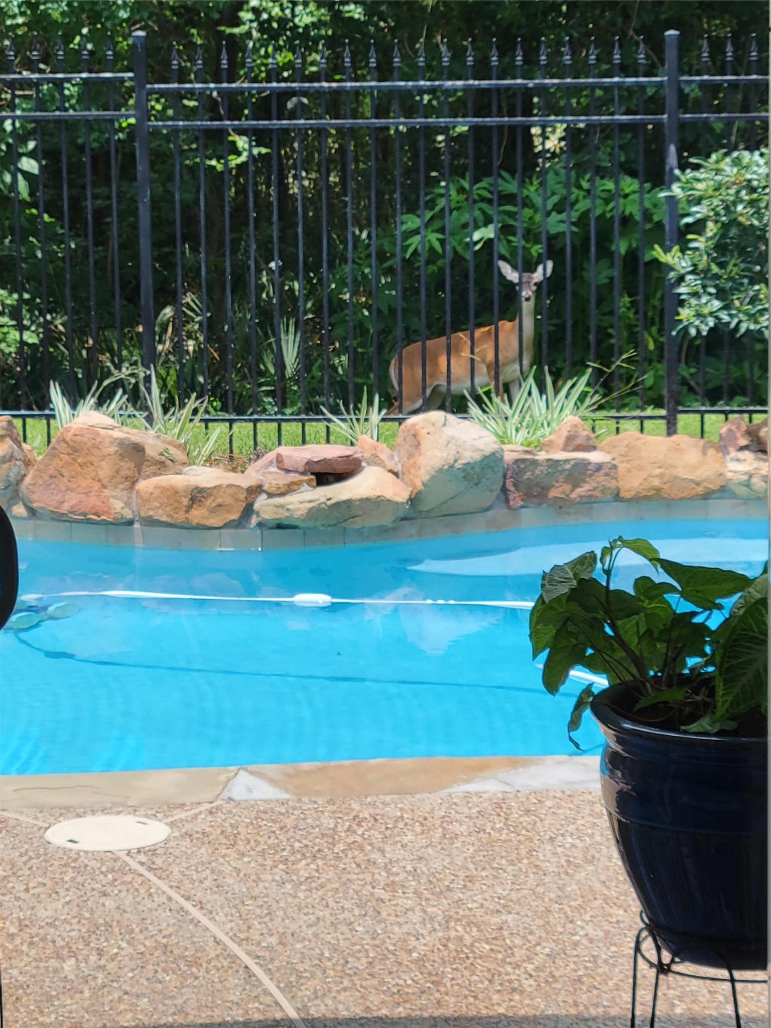 6230 Agassi Ace Court Spring, TX 77379 - Photo 2 of 6 Gallery Image 2