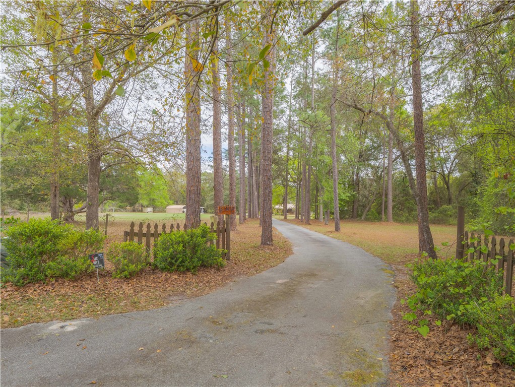 220 Arthur Knowles Road Folkston, GA 31537 - Photo 3 of 46 Tree Lined Driveway