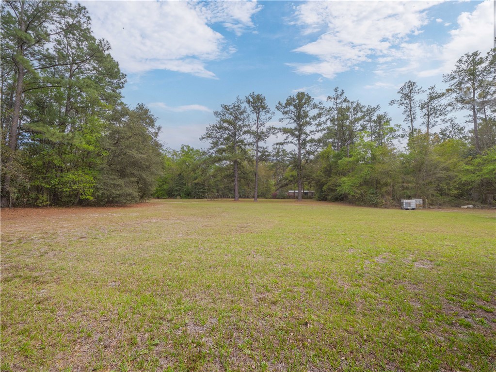 220 Arthur Knowles Road Folkston, GA 31537 - Photo 32 of 46 Back Acreage