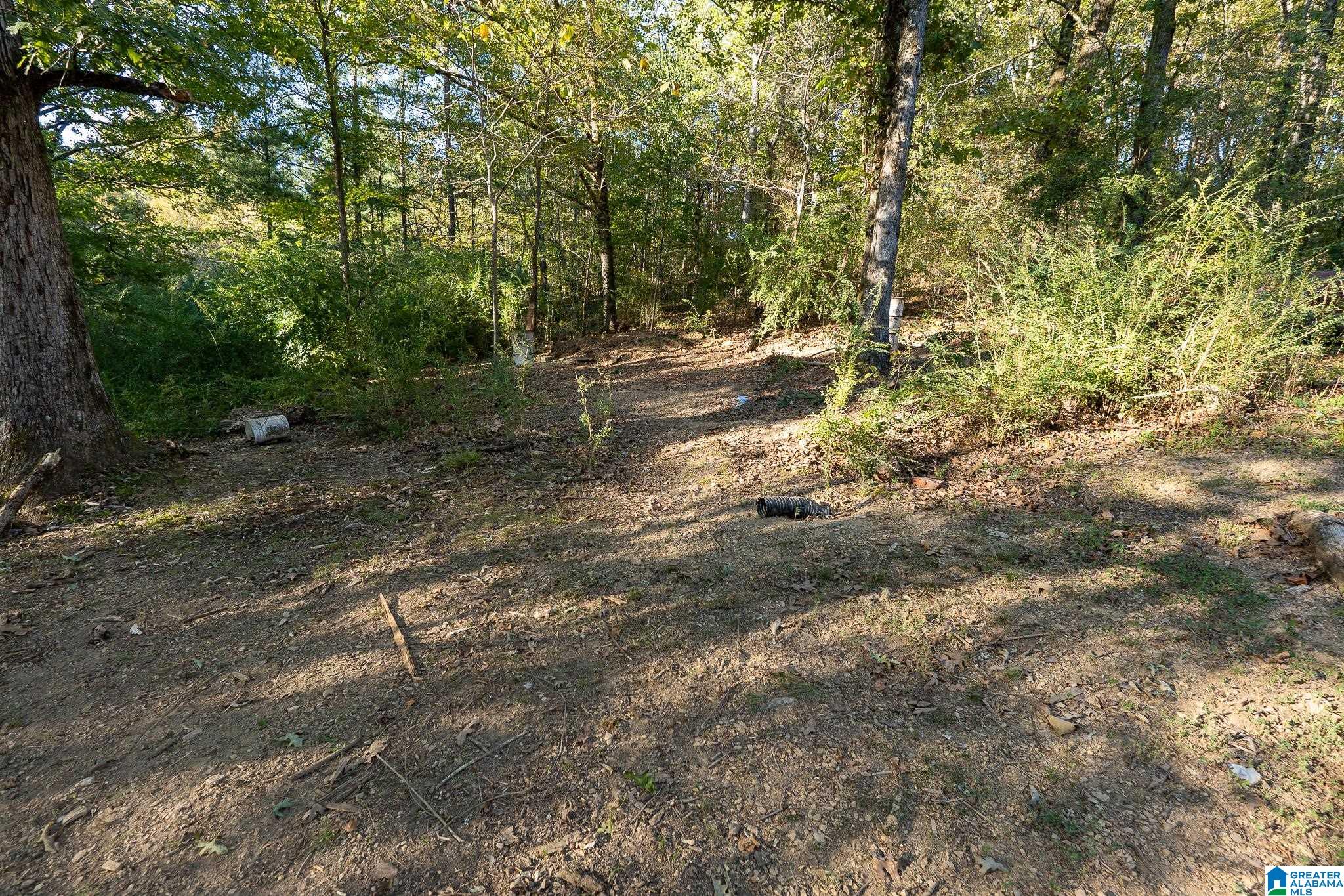 2938 Jackson Road Morris, AL 35116 - Photo 10 of 49