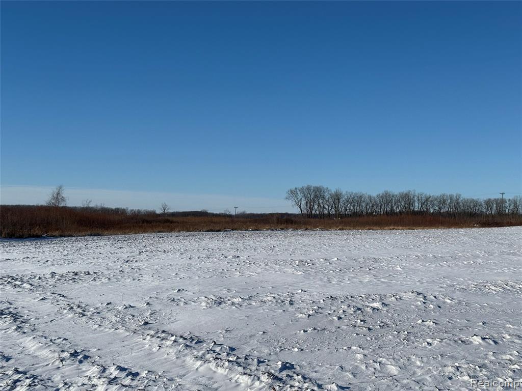 0 Miller Road Capac, MI 48014 - Photo 5 of 5