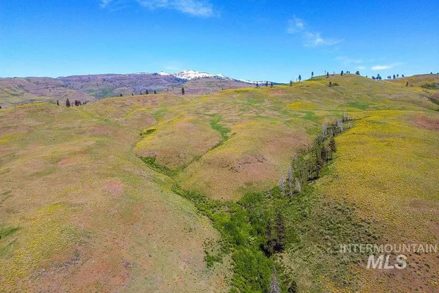 $625,000 | 255-ac Fall Creek Road, Council, ID 83612
