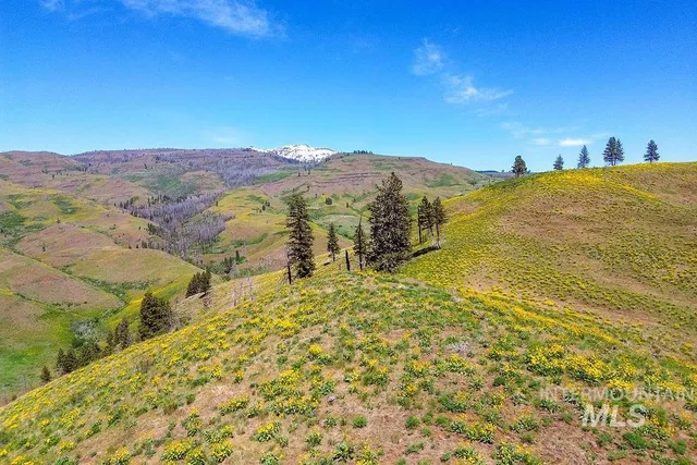 $625,000 | 255-ac Fall Creek Road, Council, ID 83612