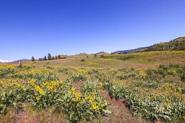 $625,000 | 255-ac Fall Creek Road, Council, ID 83612