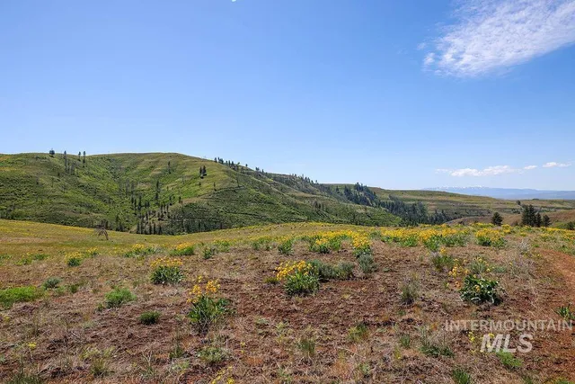 $625,000 | 255-ac Fall Creek Road, Council, ID 83612