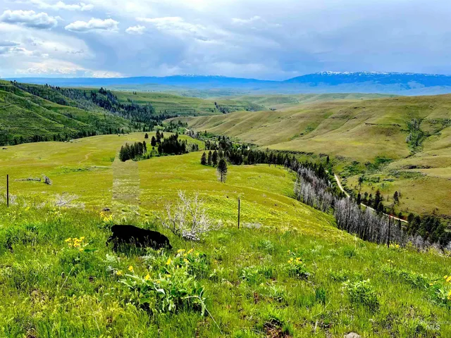 $625,000 | 255-ac Fall Creek Road, Council, ID 83612