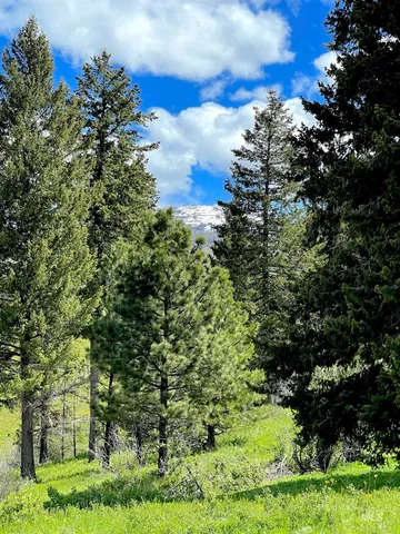 $625,000 | 255-ac Fall Creek Road, Council, ID 83612