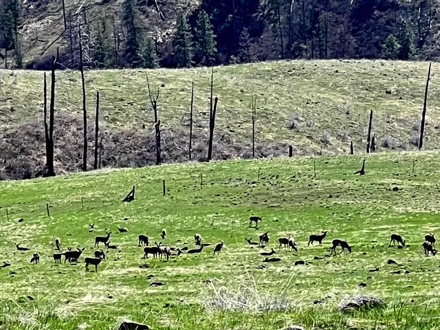 $625,000 | 255-ac Fall Creek Road, Council, ID 83612