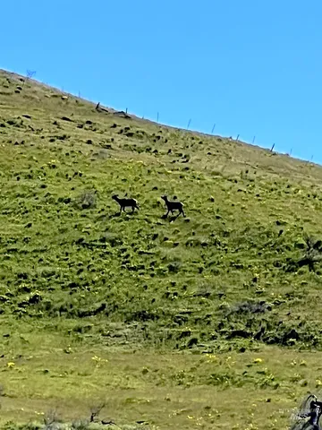 $625,000 | 255-ac Fall Creek Road, Council, ID 83612