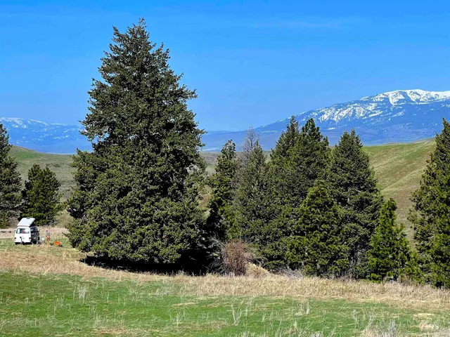 $625,000 | 255-ac Fall Creek Road, Council, ID 83612