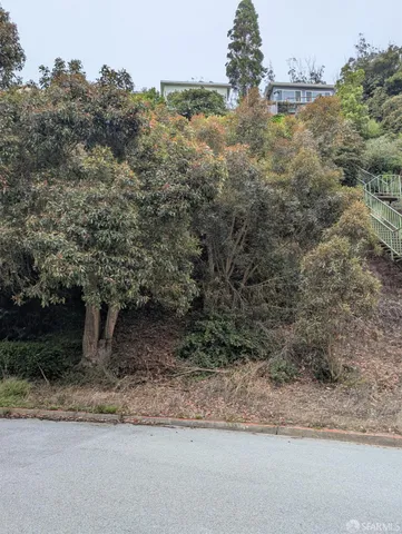 a view of a yard with large trees