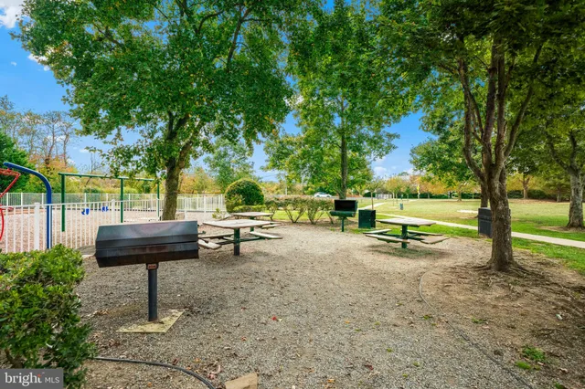 a view of a park with large trees