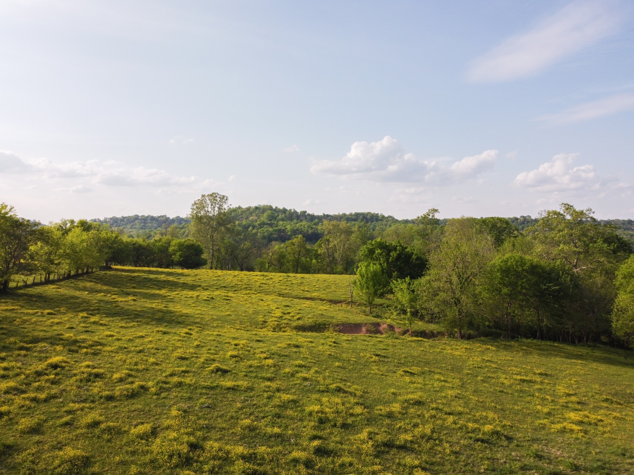 2964 Parsons Bend Road Columbia, TN 38401 - Photo 12 of 36 a view of an ocean from a yard