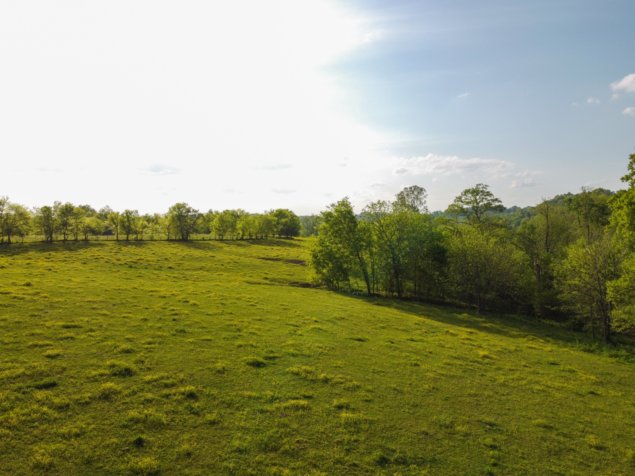 2964 Parsons Bend Road Columbia, TN 38401 - Photo 15 of 36 a view of a lake view