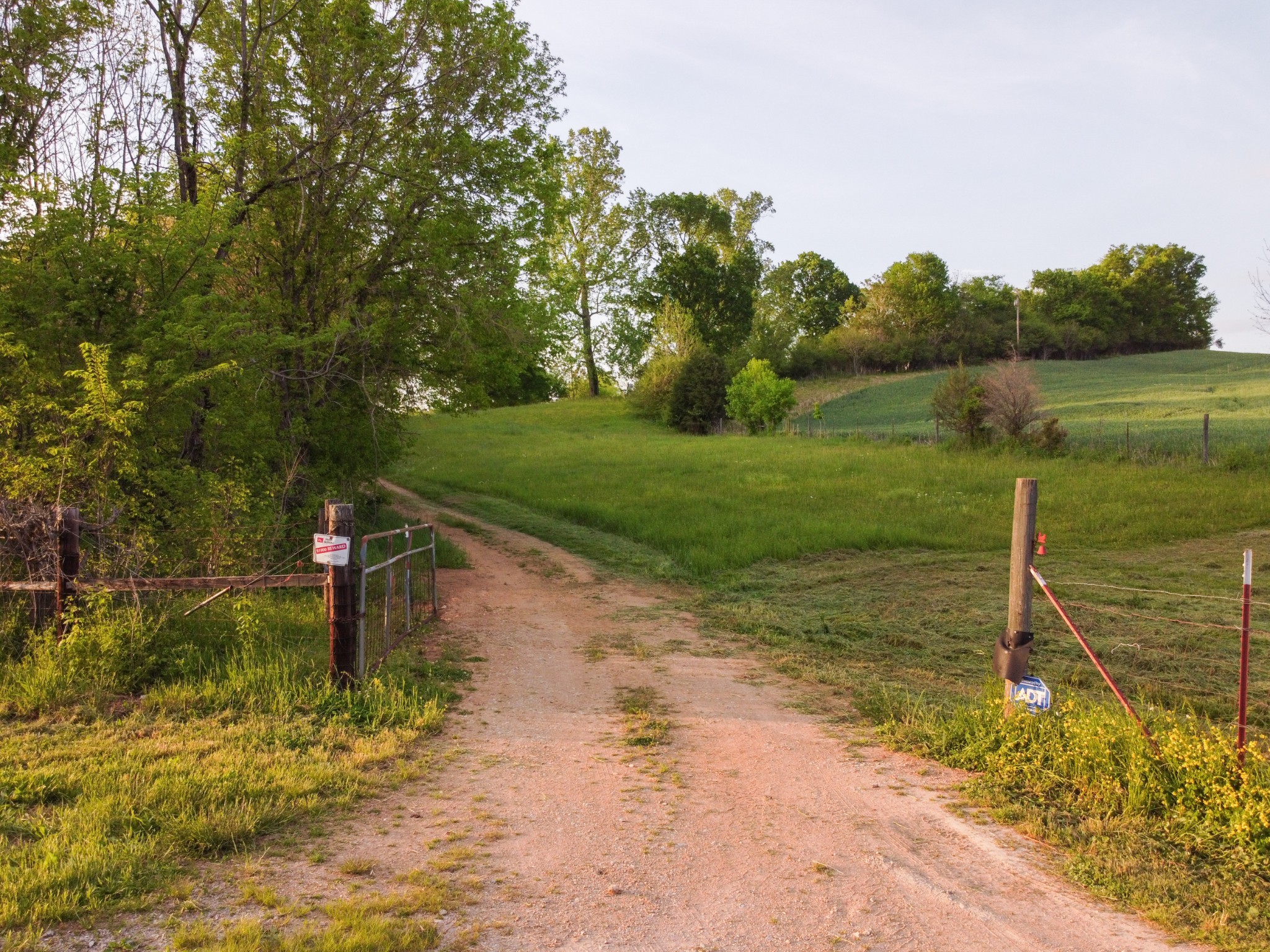 2964 Parsons Bend Road Columbia, TN 38401 - Photo 31 of 36 a view of a park with large trees