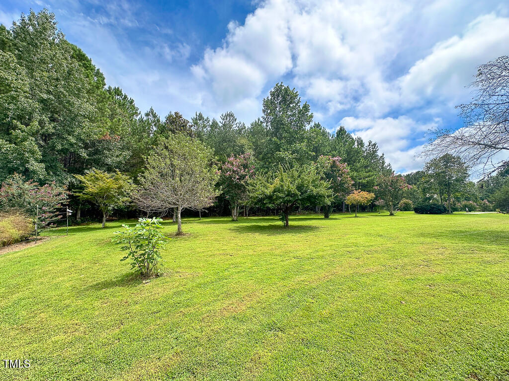 487 Rifle Range Road Warrenton, NC 27589 - Photo 52 of 56 Ornamental and Fruit Trees