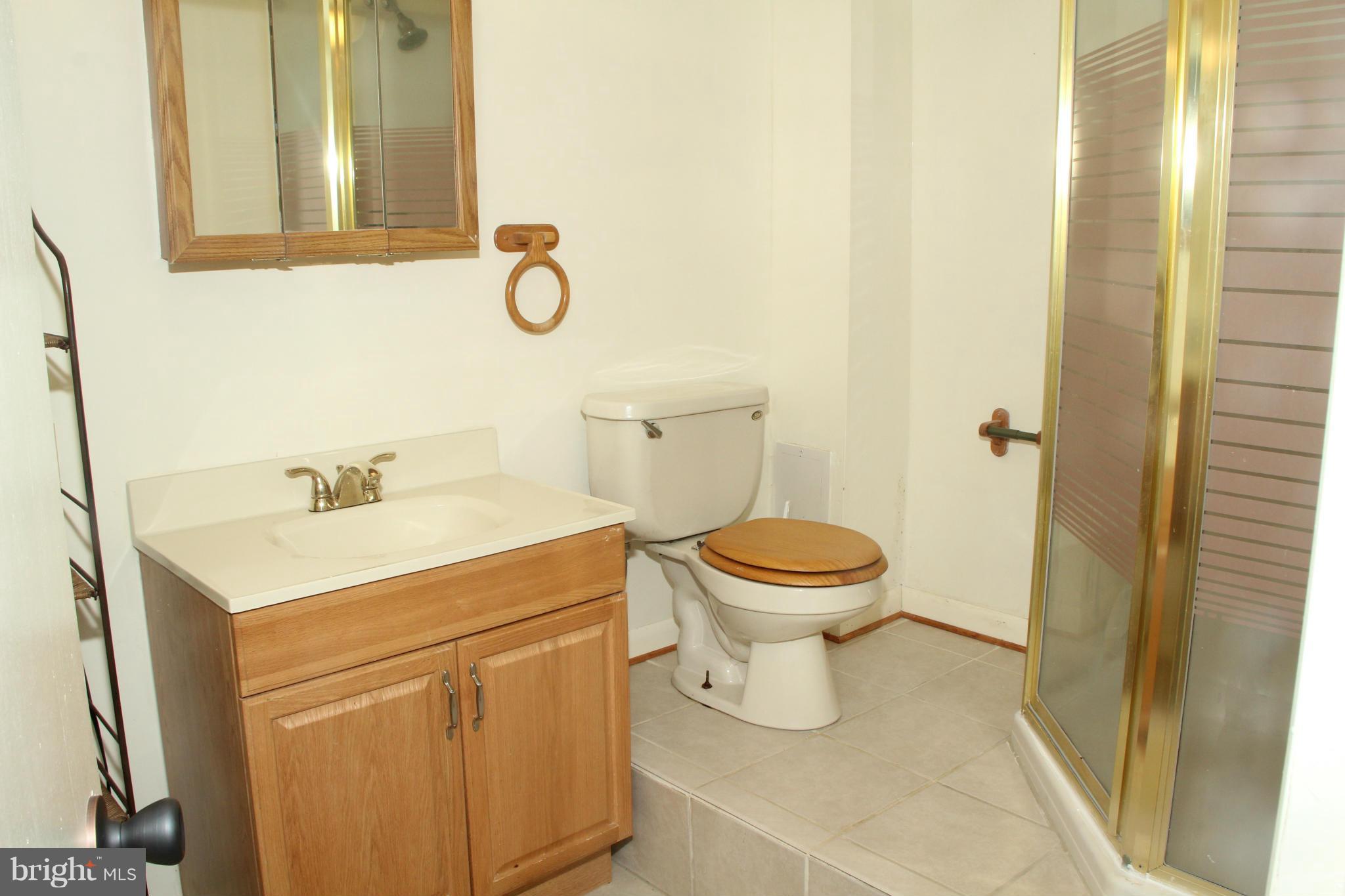 8500 Jenkins Road Pasadena, MD 21122 - Photo 18 of 25 Lower Level Bath