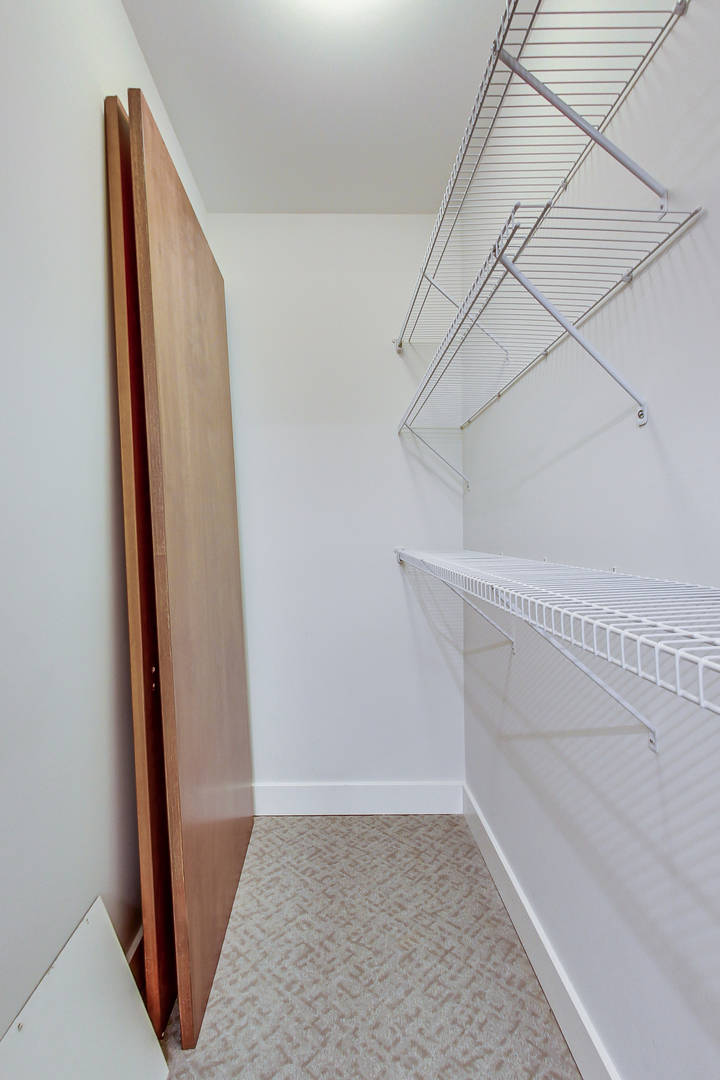 619 West Surf Street, Unit 1 Chicago, IL 60657 - Photo 29 of 36 a view of closet