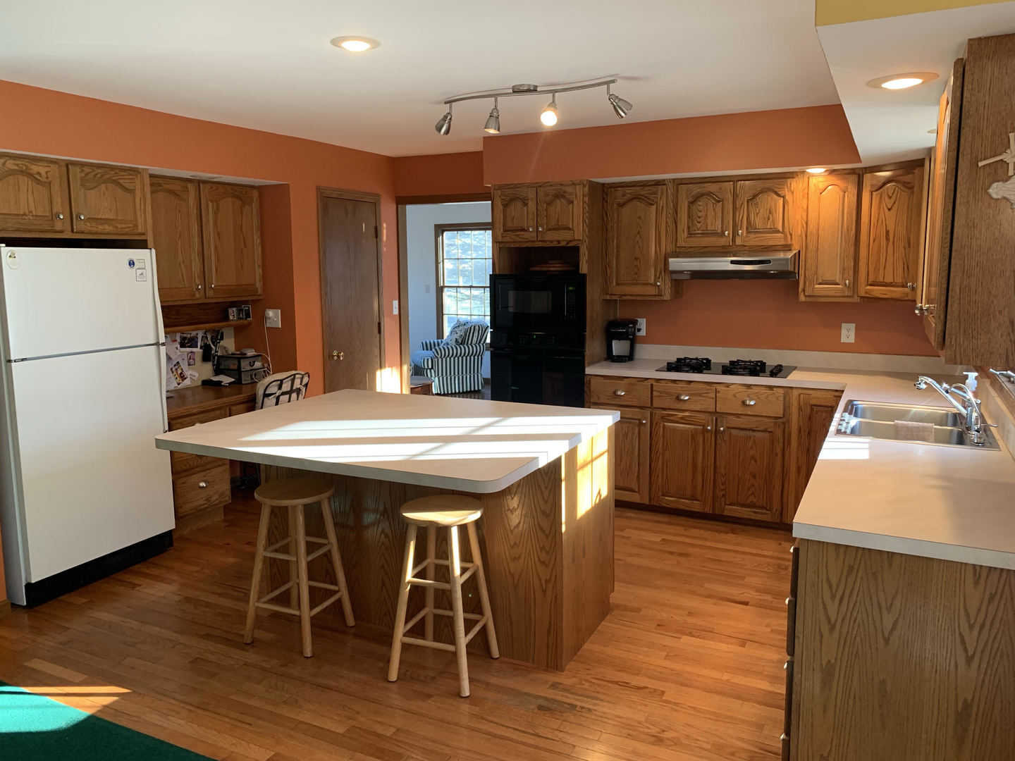 9811 Elizabeth Terrace Rochelle, IL 61068 - Photo 6 of 39
