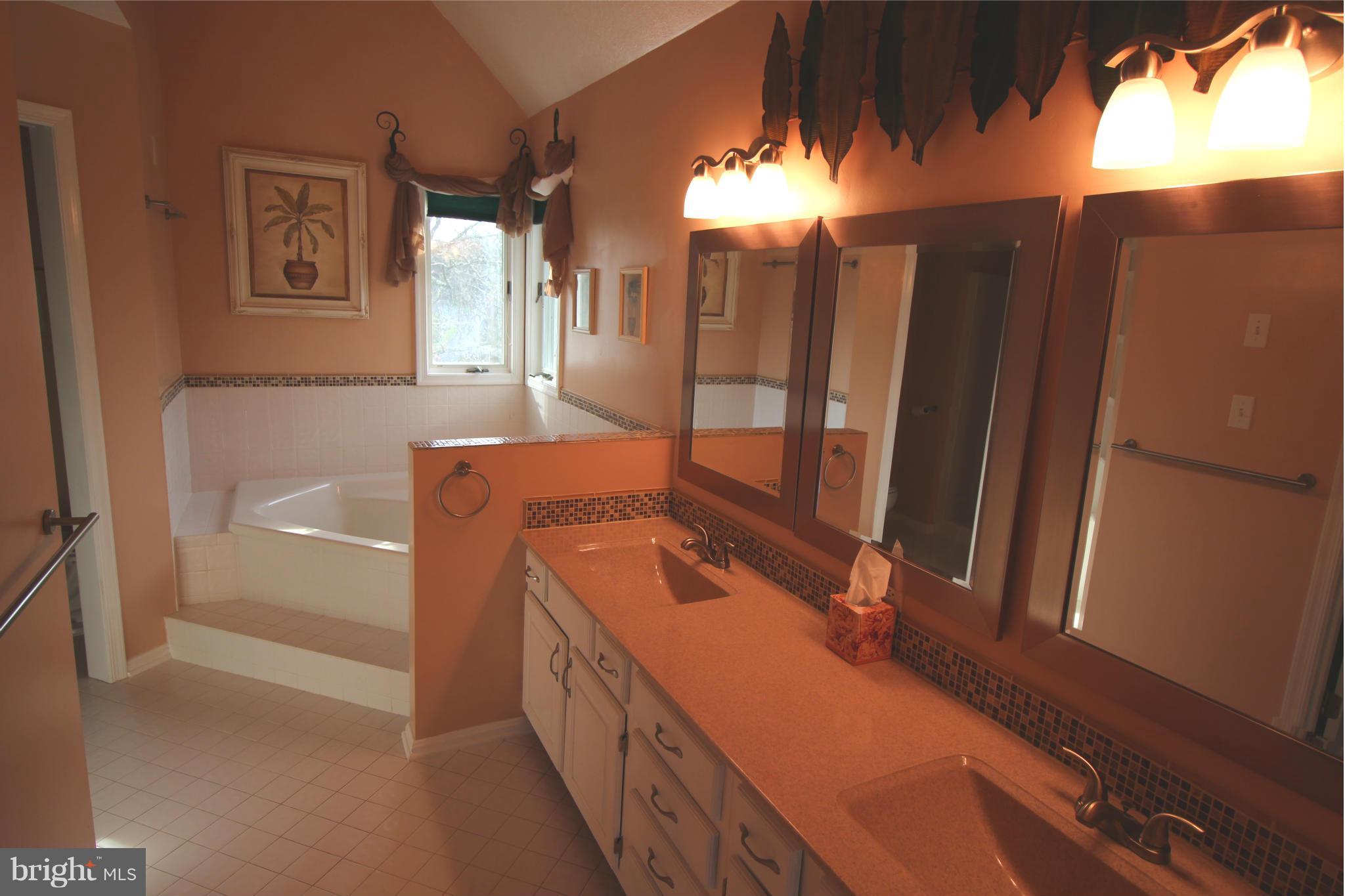 1293 Ridgeway Road Front Royal, VA 22630 - Photo 20 of 28 Bath (Master)