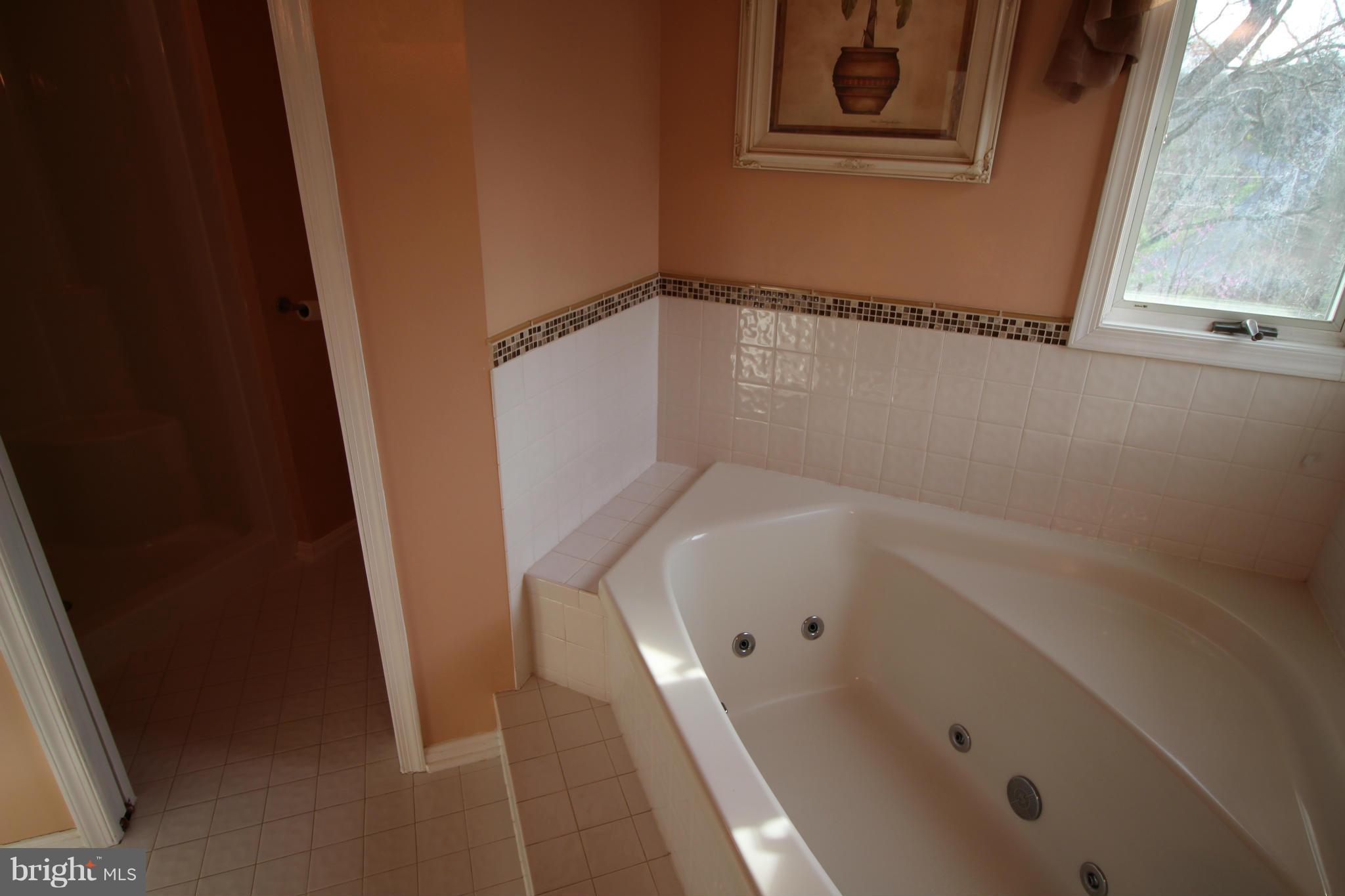1293 Ridgeway Road Front Royal, VA 22630 - Photo 21 of 28 Bath (Master)