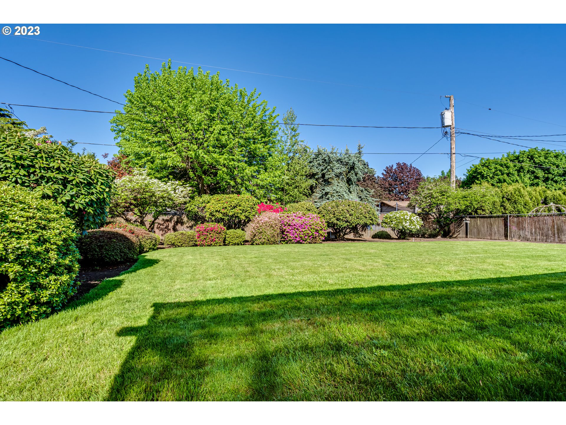 2548 16th Street Springfield, OR 97477 - Photo 30 of 35 a view of garden