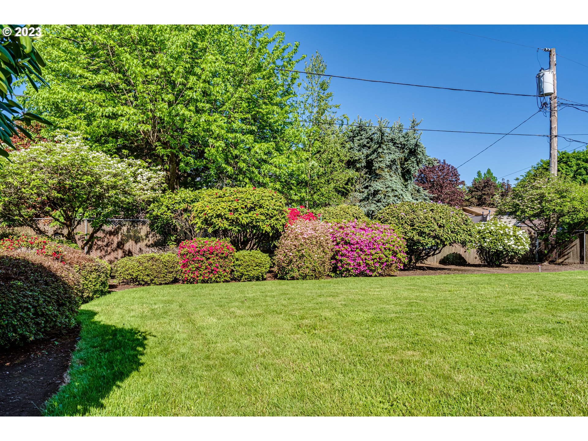 2548 16th Street Springfield, OR 97477 - Photo 31 of 35 a view of a field of grass and trees