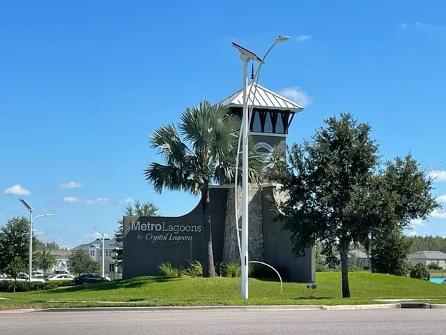 a view of tall trees