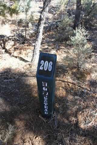 Lot 206 East Show Low Lake Road Show Low, AZ 85901 - Photo 1 of 8
