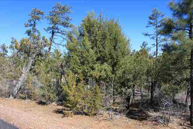 Lot 206 East Show Low Lake Road Show Low, AZ 85901 - Photo 4 of 8