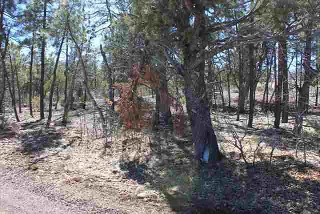Lot 206 East Show Low Lake Road Show Low, AZ 85901 - Photo 5 of 8