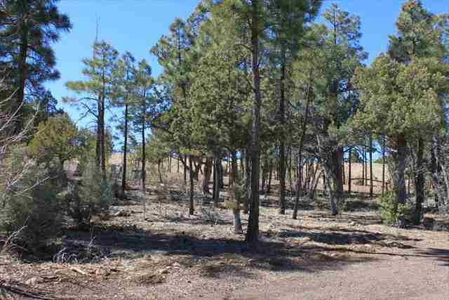 Lot 206 East Show Low Lake Road Show Low, AZ 85901 - Photo 7 of 8