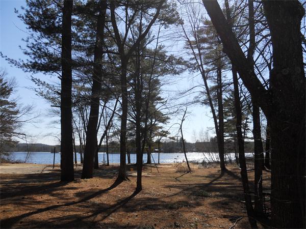 60 Beachview Road Lunenburg, MA 01462 - Photo 18 of 18 a view of outdoor space with lots of trees