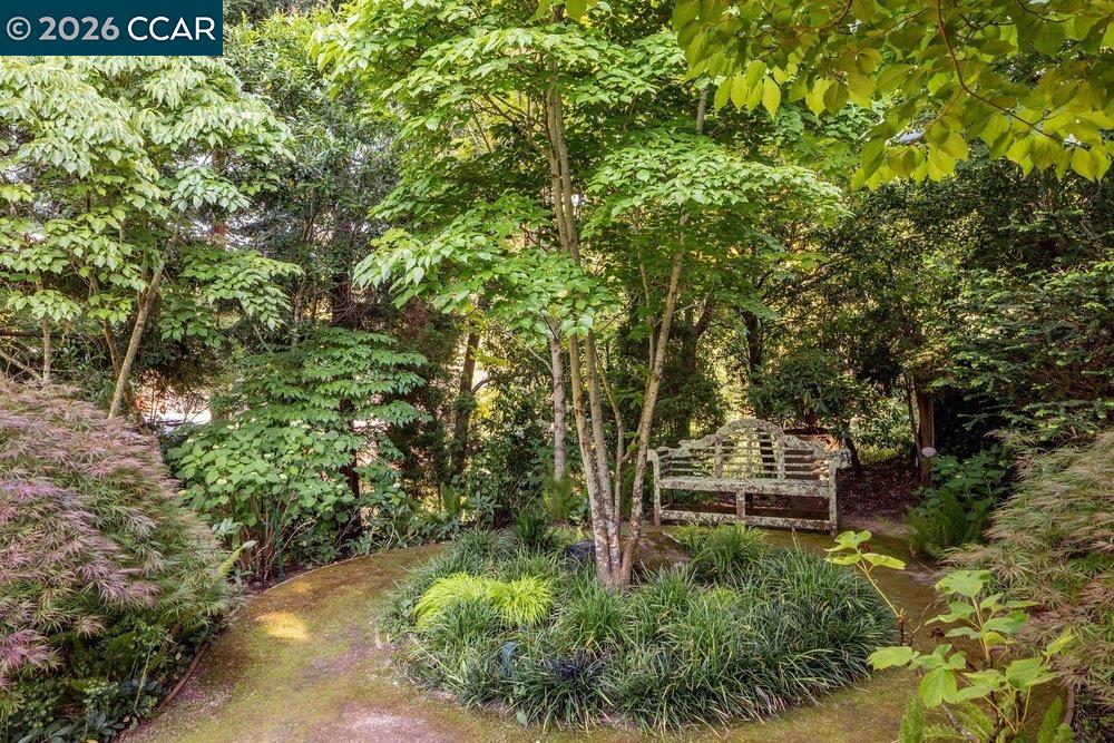 3907 Happy Valley Road Lafayette, CA 94549 - Photo 40 of 56