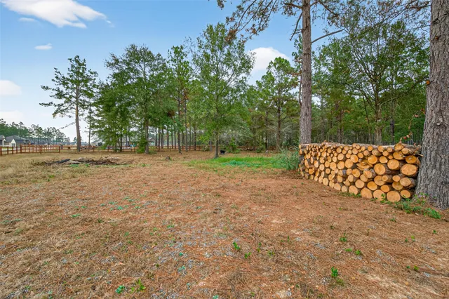 a view of outdoor space with trees all around