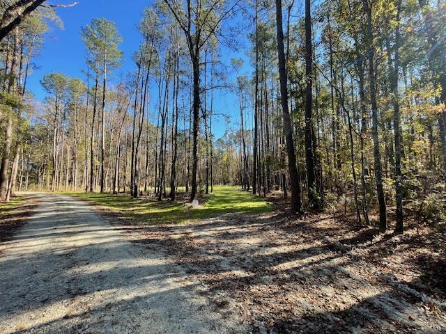 1 Fish Road Ridgeville, SC 29472 - Photo 4 of 15 IMG_6143