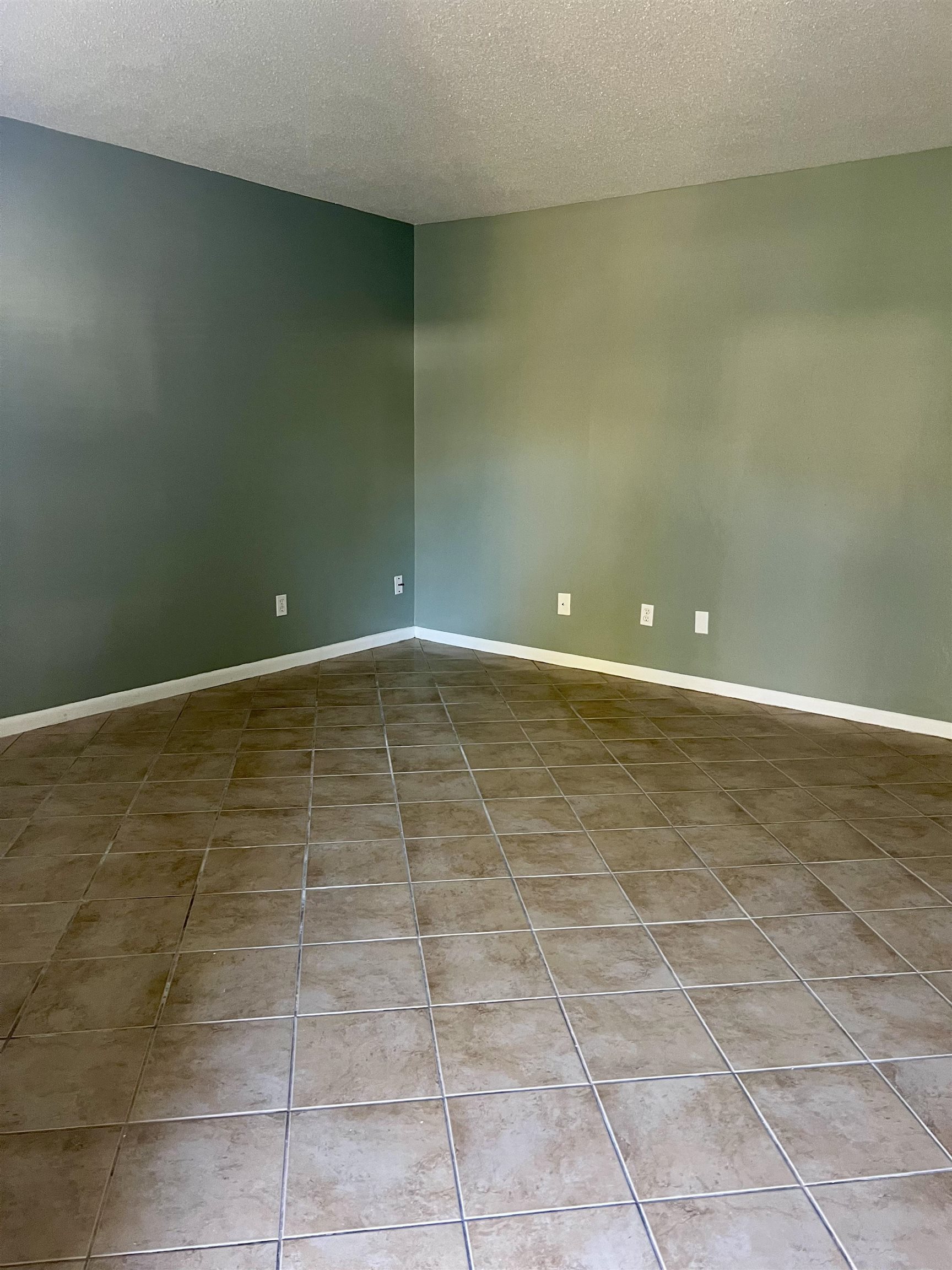 1438 North Meridian Road, Unit 3 Tallahassee, FL 32303 - Photo 3 of 25