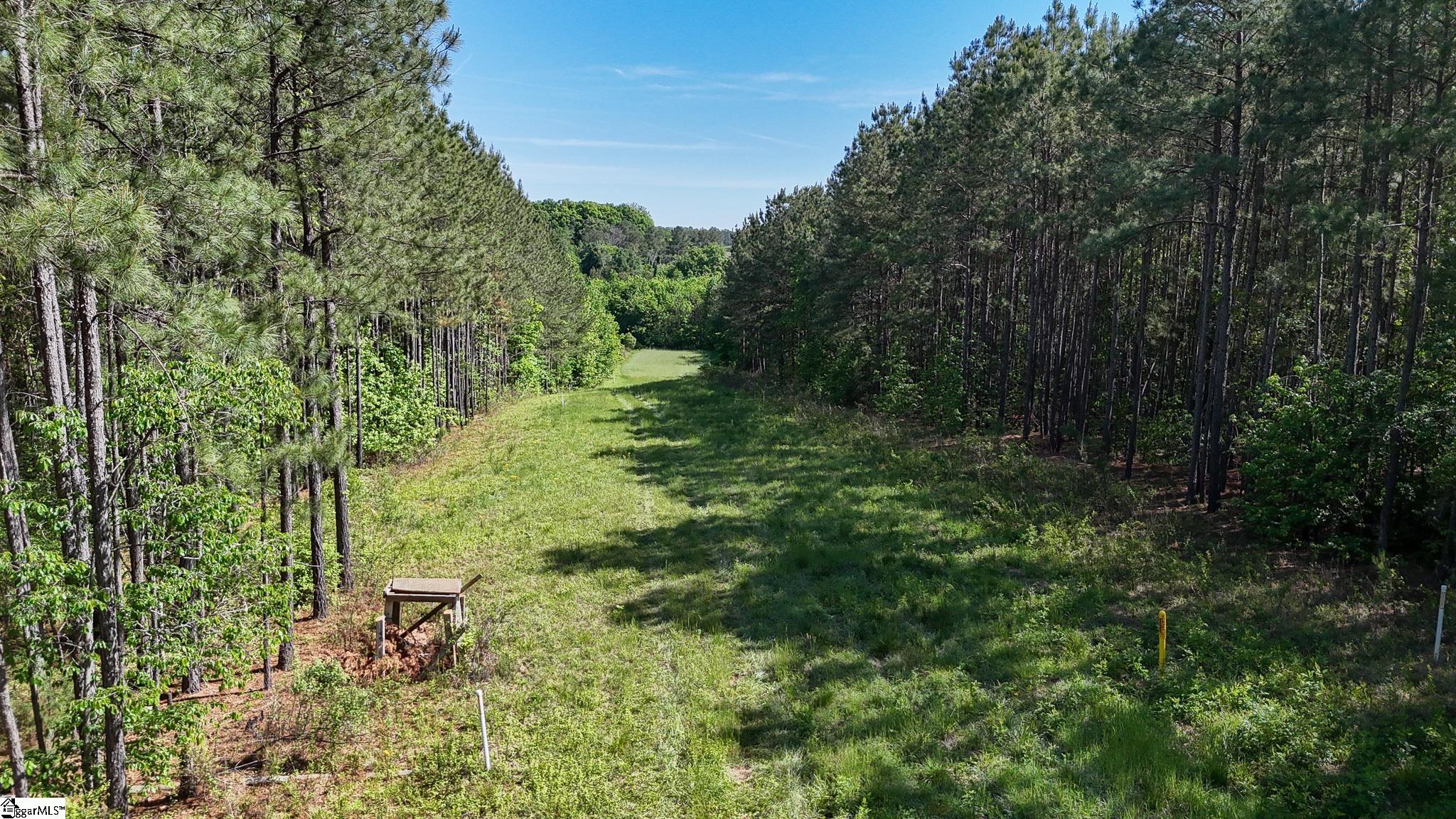 1 Lisbon Road, Unit LOT 1 Mountville, SC 29370 - Photo 4 of 23 Gallery Image 4