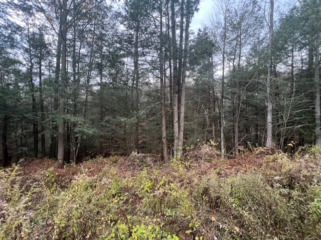 1475 Stewart Road Tuscarora, NY 14801 - Photo 13 of 21