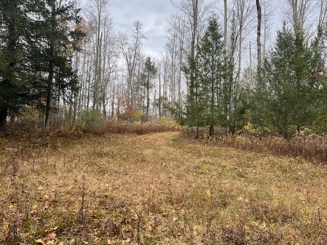 1475 Stewart Road Tuscarora, NY 14801 - Photo 15 of 21