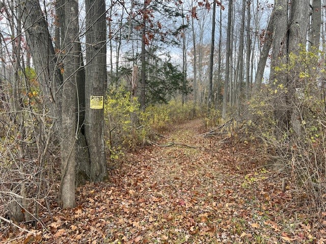 1475 Stewart Road Tuscarora, NY 14801 - Photo 4 of 21