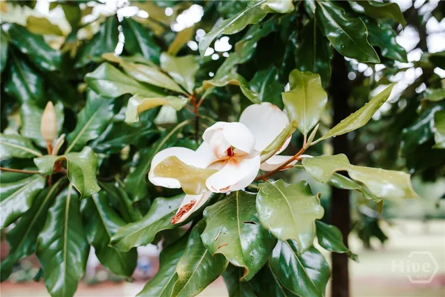 $374,900 | 764 Sandy Cross Road, Lexington, GA 30648