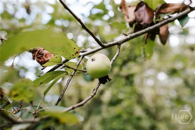 $374,900 | 764 Sandy Cross Road, Lexington, GA 30648